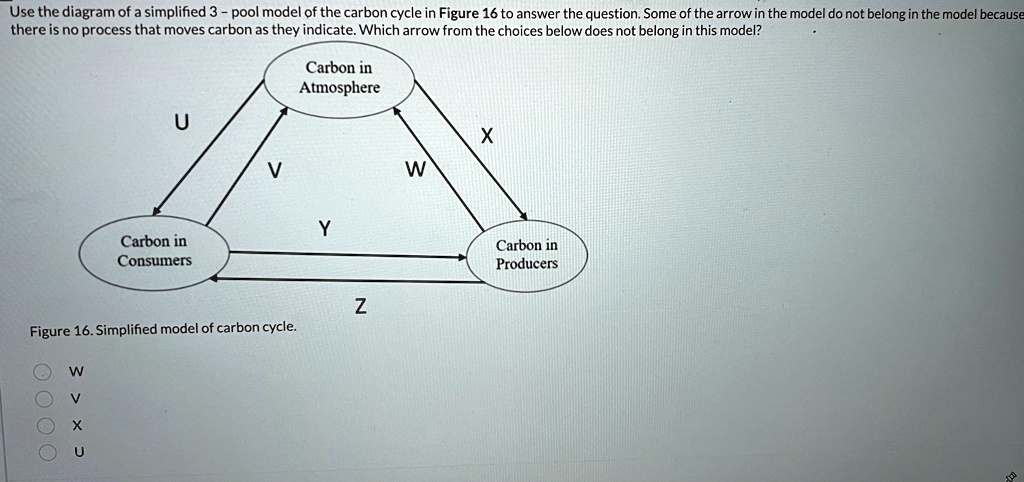 Use the diagram of a simplified 3 - pool model of the carbon cycle in ...