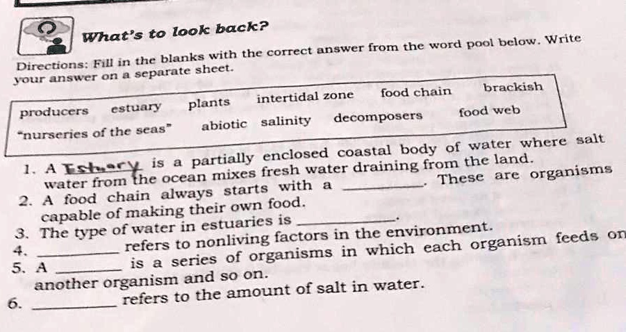 What's to look back?
Directions: Fill in the blanks with the correct answer from the word pool below. Write your answer on a separate sheet.
producers estuary plants intertidal zone food chain brackish
"nurseries of the seas" abiotic salinity decomposers food web
1. A Estuary is a partially enclosed coastal body of water where salt water from the ocean mixes fresh water draining from the land.
2. A food chain always starts with a . These are organisms capable of making their own food.
3. The type of water in estuaries is .
4.  refers to nonliving factors in the environment.
5. A  is a series of organisms in which each organism feeds on another organism and so on.
6.  refers to the amount of salt in water.