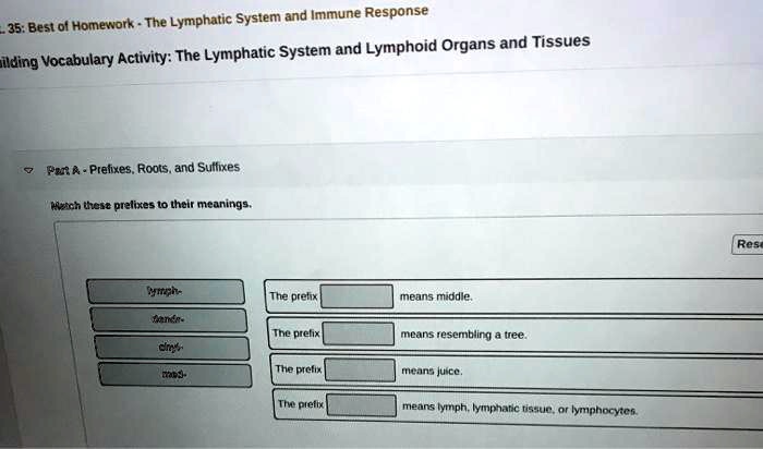 SOLVED: The Lymphatic System and Immune Response 35: Best of Homework - Exercise 35 The Lymphatic System And Immune Response