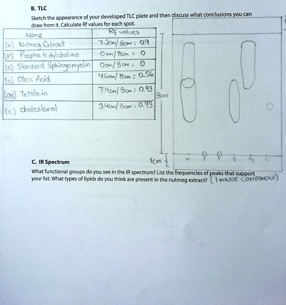 SOLVED B. TLC Sketch the appearance of your developed TLC plate and