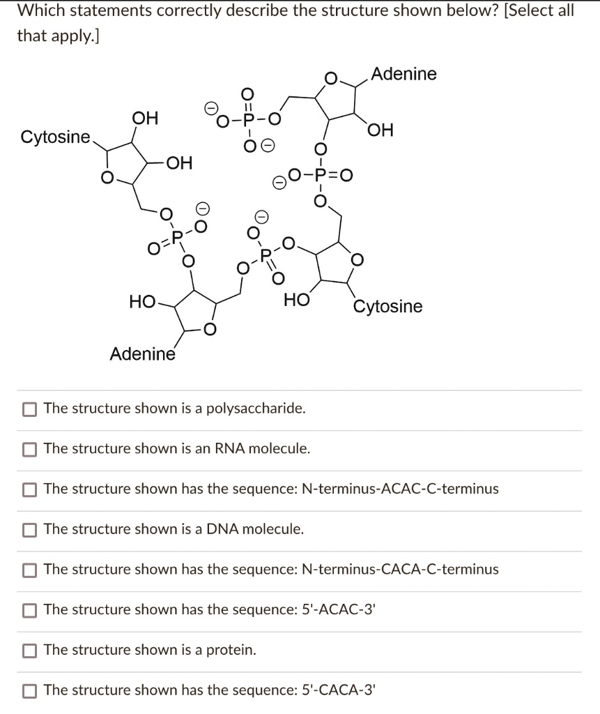 [GET ANSWER] Which statements correctly describe the structure shown ...
