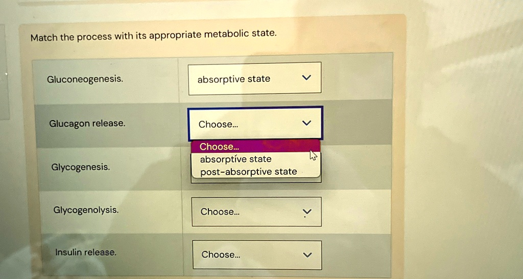 Match the process with its appropriate metabolic state.
Gluconeogenesis.
absorptive state
Glucagon release.
Choose...
Choose...
Glycogenesis.
Glycogenolysis.
absorptive state
post-absorptive state
Choose...
Insulin release.
Choose...