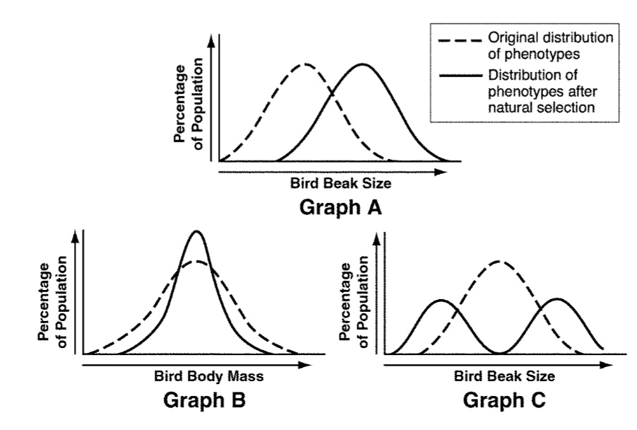1 the following diagram depicts three different types of selectiona ...