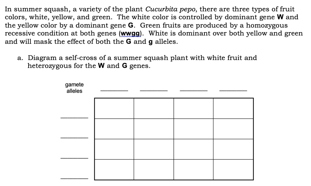 SOLVED Using different colors of highlighter or colored pencil, color