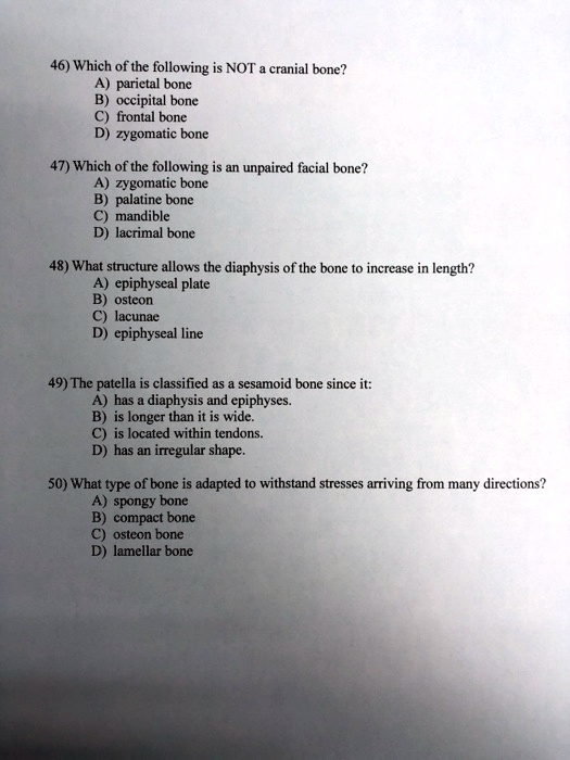 46) Which of the following is NOT a cranial bone?
A) parietal bone
B) occipital bone
C) frontal bone
D) zygomatic bone
47) Which of the following is an unpaired facial bone?
A) zygomatic bone
B) palatine bone
C) mandible
D) lacrimal bone
48) What structure allows the diaphysis of the bone to increase in length?
A) epiphyseal plate
B) osteon
C) lacunae
D) epiphyseal line
49) The patella is classified as a sesamoid bone since it:
A) has a diaphysis and epiphyses.
B) is longer than it is wide.
C) is located within tendons.
D) has an irregular shape.
50) What type of bone is adapted to withstand stresses arriving from many directions?
A) spongy bone
B) compact bone
C) osteon bone
D) lamellar bone