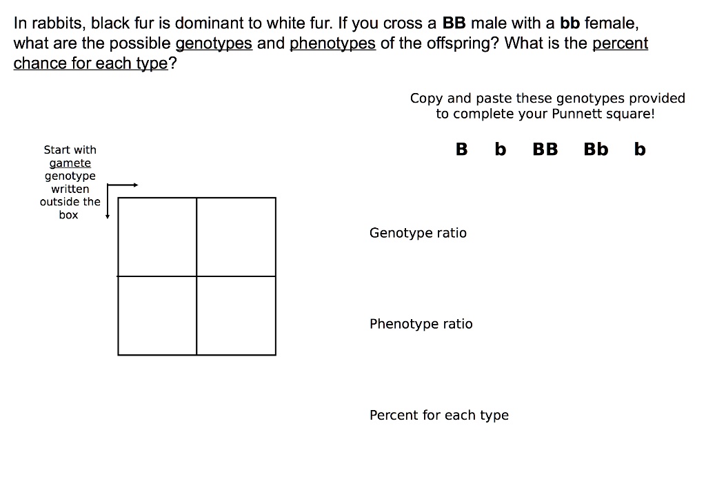 In rabbits, black fur is dominant to white fur. If you cross a BB male with a bb female,
what are the possible genotypes and phenotypes of the offspring? What is the percent
chance for each type?
Copy and paste these genotypes provided
to complete your Punnett square!
B b BB Bb b
Start with
gamete
genotype
written
outside the
box
Genotype ratio
Phenotype ratio
Percent for each type