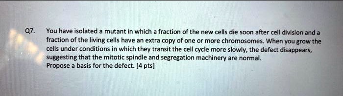 You have isolated a mutant in which a fraction of the new cells die soon after cell division and a fraction of the living cells have an extra copy of one or more chromosomes. When you grow the cells under conditions in which they transit the cell cycle more slowly, the defect disappears, suggesting that the mitotic spindle and segregation machinery are normal. Propose a basis for the defect. [4 pts]