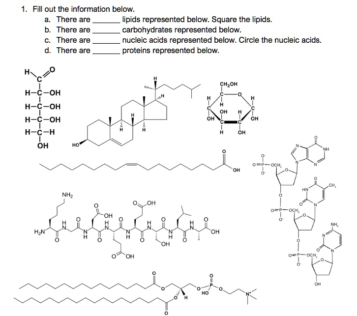 SOLVEDFill out the information below There are lipids represented