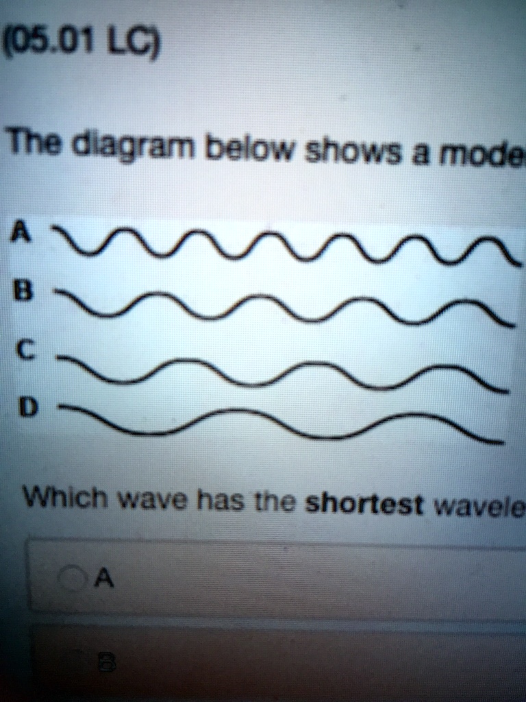 Solved The Diagram Below Shows A Model Of Four Waves Which Wave Has