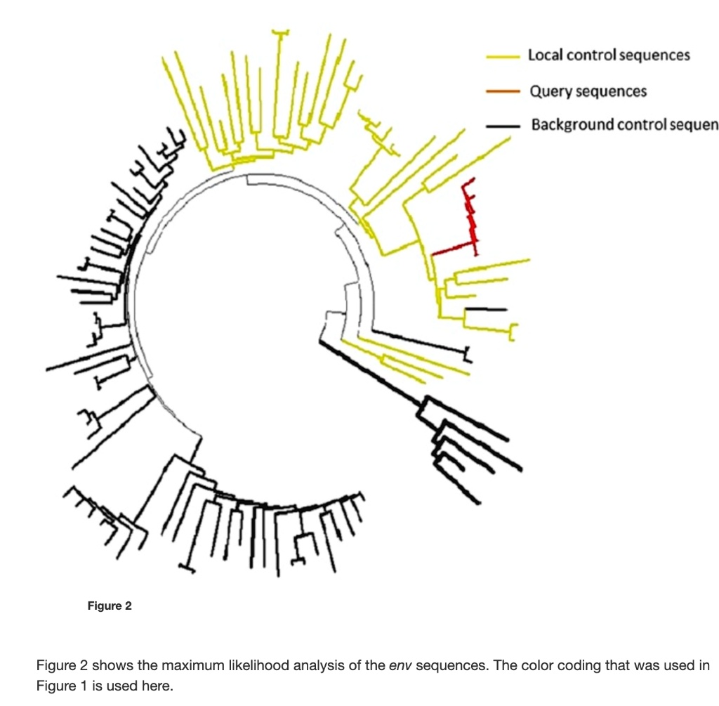 SOLVED: Local control sequences Query sequences Background ...