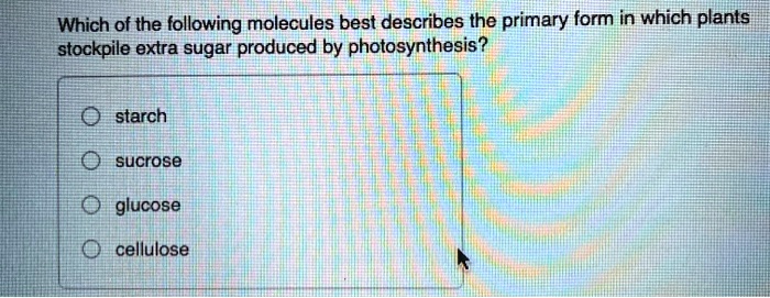 Which of the following molecules best describes the primary form in which plants stockpile extra sugar produced by photosynthesis?

starch
sucrose
glucose
cellulose