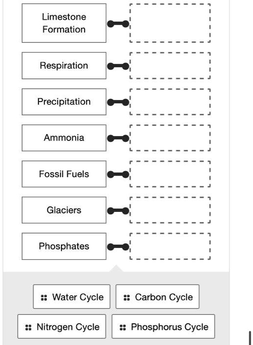 SOLVED Limestone Formation Respiration Precipitation Ammonia Fossil