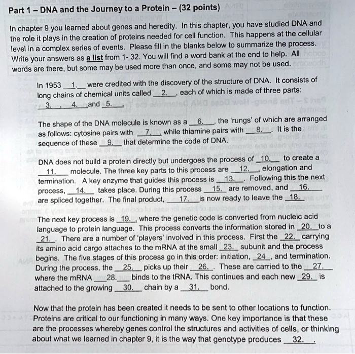 Part 1 – DNA and the Journey to a Protein – (32 points)

In chapter 9 you learned about genes and heredity. In this chapter, you have studied DNA and the role it plays in the creation of proteins needed for cell function. This happens at the cellular level in a complex series of events. Please fill in the blanks below to summarize the process. Write your answers as a list from 1- 32. You will find a word bank at the end to help. All words are there, but some may be used more than once, and some may not be used.

In 1953 1. were credited with the discovery of the structure of DNA. It consists of long chains of chemical units called 2. , each of which is made of three parts: 3. , 4. and 5. .

The shape of the DNA molecule is known as a 6. , the ‘rungs’ of which are arranged as follows: cytosine pairs with 7. while thiamine pairs with 8. . It is the sequence of these 9. that determine the code of DNA.

DNA does not build a protein directly but undergoes the process of 10. to create a 11. molecule. The three key parts to this process are 12. , elongation and termination. A key enzyme that guides this process is 13. . Following this the next process, 14. takes place. During this process 15. are removed, and 16. are spliced together. The final product, 17. is now ready to leave the 18.

The next key process is 19. , where the genetic code is converted from nucleic acid language to protein language. This process converts the information stored in 20. to a 21. . There are a number of ‘players’ involved in this process. First the 22. carrying its amino acid cargo attaches to the mRNA at the small 23. subunit and the process begins. The five stages of this process go in this order: initiation, 24. , and termination. During the process, the 25. picks up their 26. . These are carried to the 27. where the mRNA 28. binds to the tRNA. This continues and each new 29. is attached to the growing 30. chain by a 31. bond.

Now that the protein has been created it needs to be sent to other locations to function. Proteins are critical to our functioning in many ways. One key importance is that these are the processes whereby genes control the structures and activities of cells, or thinking about what we learned in chapter 9, it is the way that genotype produces 32. .