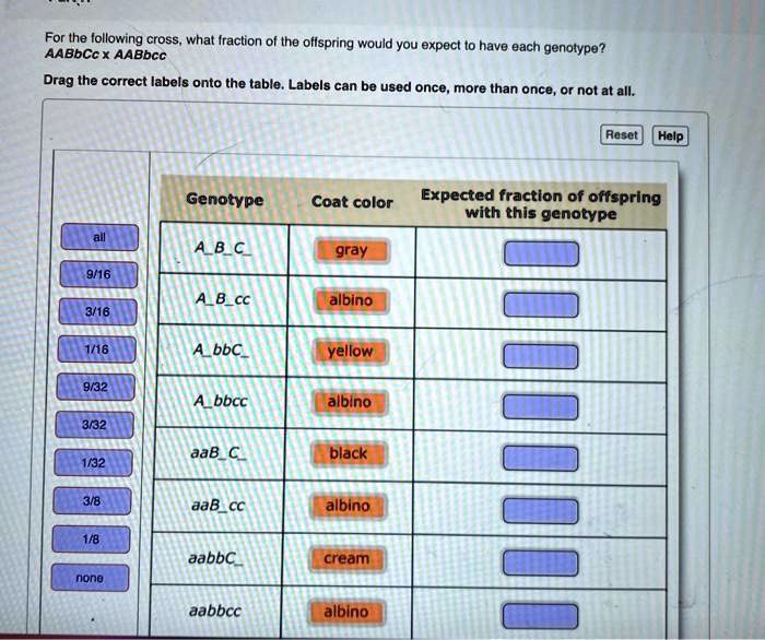 SOLVED: For The Following Cross, What Fraction Of The Offspring Would ...