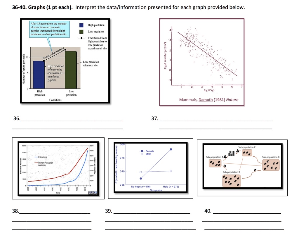 SOLVED: 36-40. Graphs (1 pt each) - Interpret the data/information ...