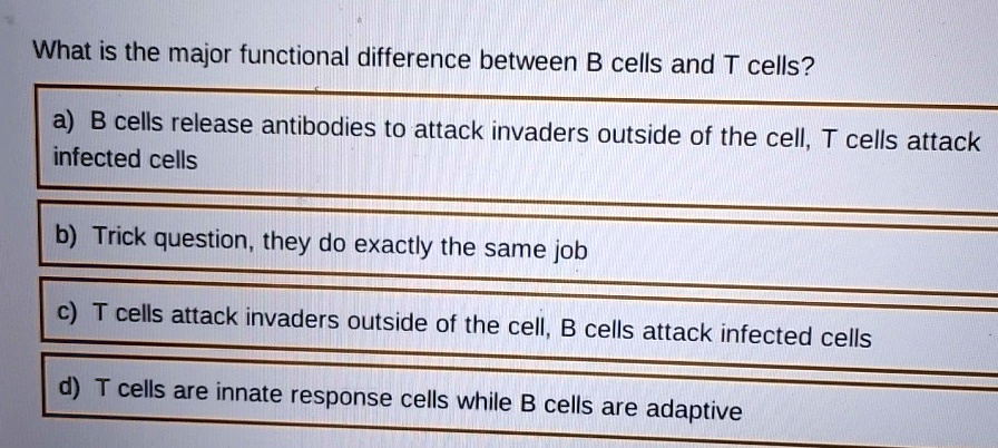 what is the major functional difference between b cells and t cells a b ...