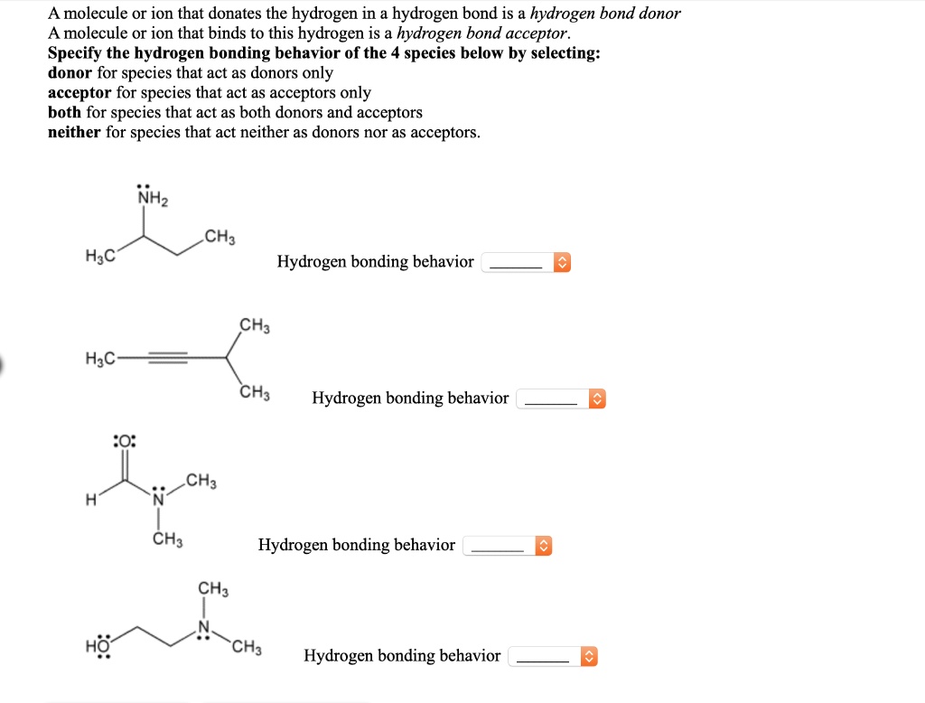 solved-a-molecule-or-ion-that-donates-the-hydrogen-in-a-hydrogen-bond