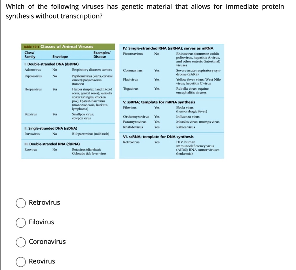 Solved Which Of The Following Viruses Has Genetic Material That Allows For Immediate Protein Synthesis Without Transcription Table 19 1 Classes Of Animal Viruses Class Examples Family Envelope Disease Iv Single Stranded Rna Ssrna Serves