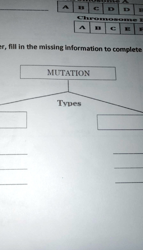 SOLVED '2 TYPES OF MUTATION , FILL IN THE MISSING INFORMATION Leana B