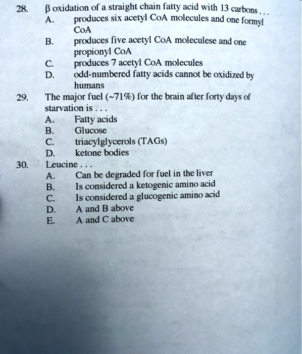 oxidation of odd numbered fatty acids produces acetyl coa and