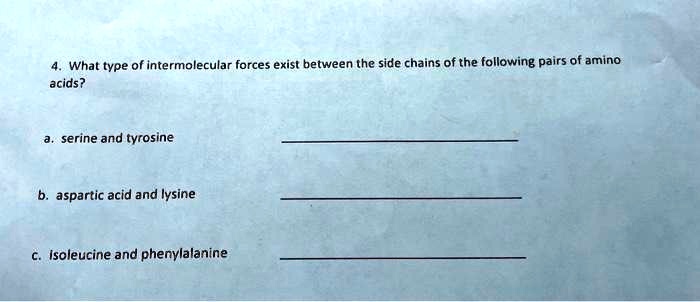 SOLVED: 4. What Type Of Intermolecular Forces Exist Between The Side ...