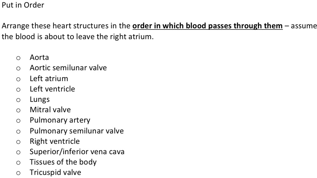 SOLVED: Arrange In Order Put In Order Arrange These Heart Structures In ...