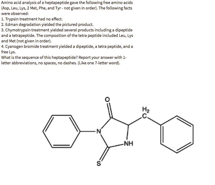 SOLVED Amino acid analysis of a heptapeptide gave the following free