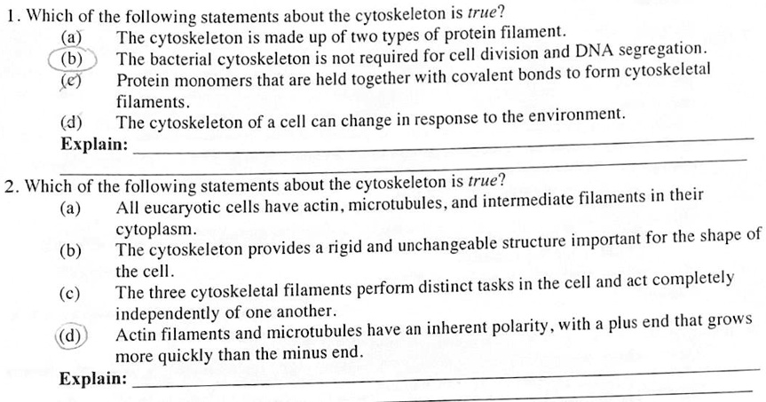 Which Of The Following Statements About The Cytoskeleton Is True