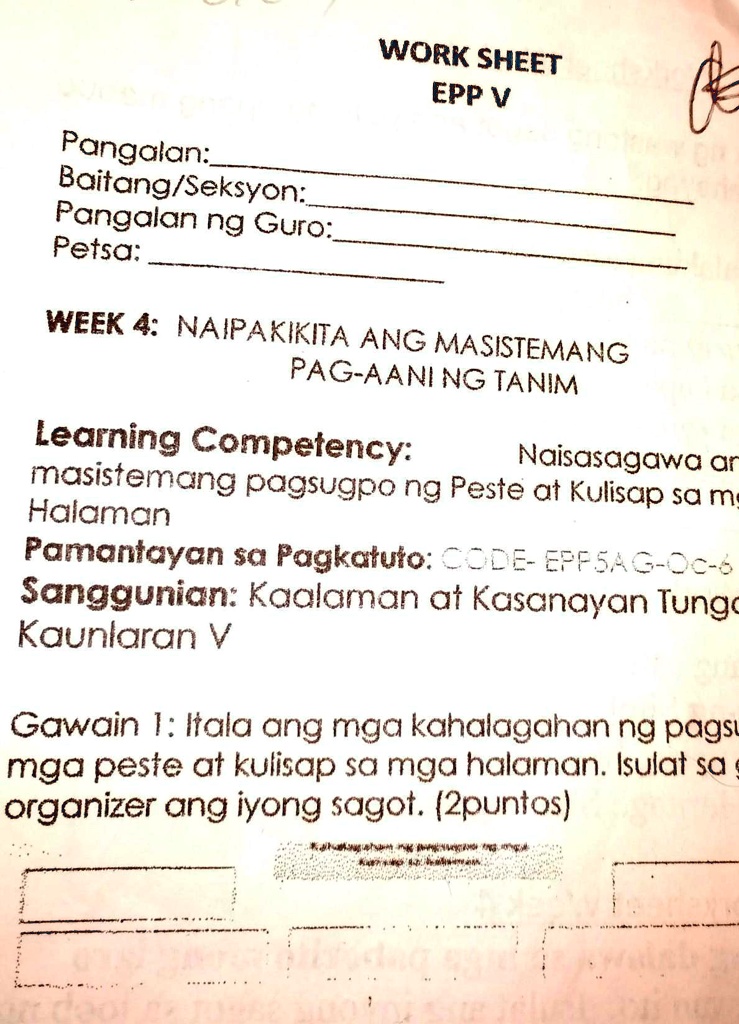 Epp Week Agrikultura Mga Kasanayan At Kaalaman Sa Pagtatanim Ng Hot Sex Picture 8148