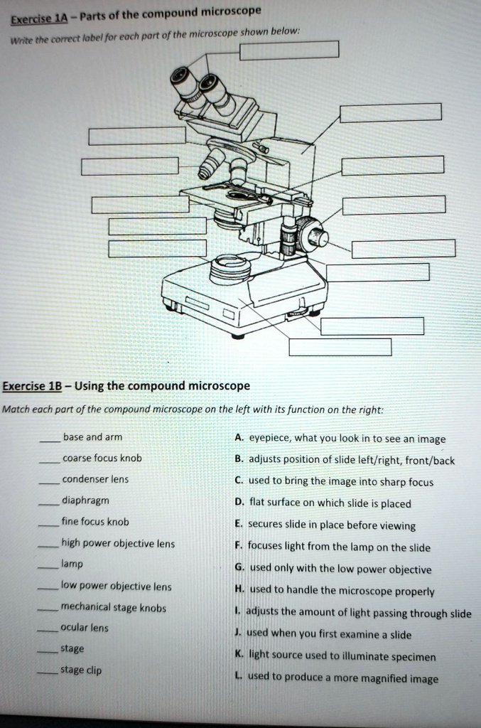 SOLVED Exercise JA Parts of the compound microscope. Write the
