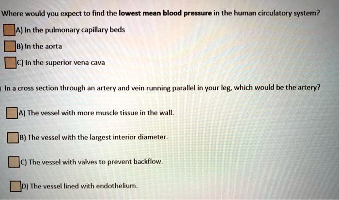 Where would you expect to find the lowest mean blood pressure in the human circulatory system?
A) In the pulmonary capillary beds
B) In the aorta
C) In the superior vena cava

In a cross section through an artery and vein running parallel in your leg, which would be the artery?

A) The vessel with more muscle tissue in the wall.
B) The vessel with the largest interior diameter.
C) The vessel with valves to prevent backflow.
D) The vessel lined with endothelium.
