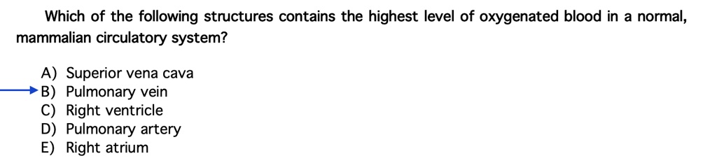 Which of the following structures contains the highest level of oxygenated blood in a normal, mammalian circulatory system?

A) Superior vena cava
B) Pulmonary vein
C) Right ventricle
D) Pulmonary artery
E) Right atrium