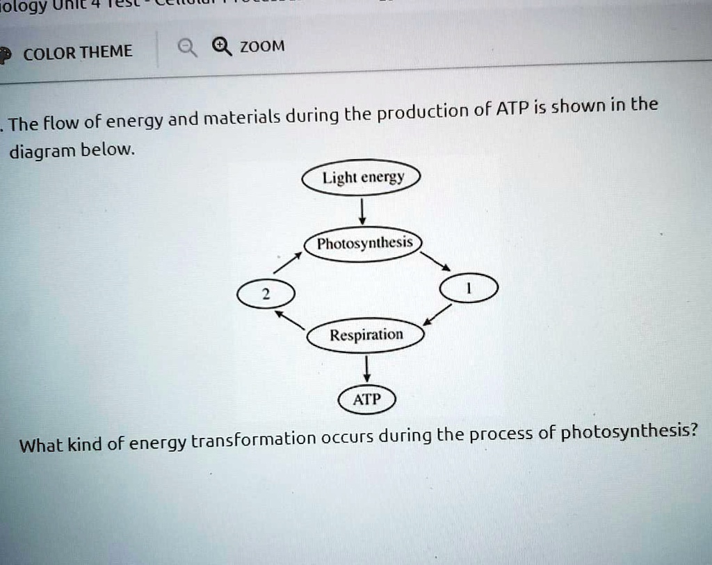 how is light energy converted into chemical energy in ecosystems