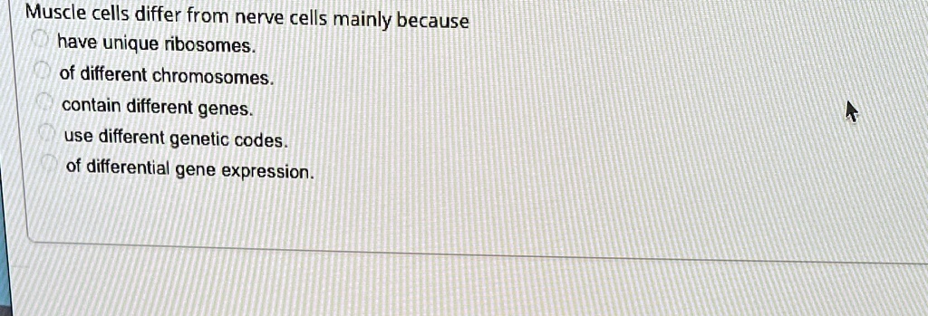 SOLVED: 'Muscle cells differ from nerve cells mainly because have