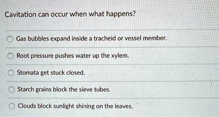 Cavitation can occur when what happens?
Gas bubbles expand inside a tracheid or vessel member.
Root pressure pushes water up the xylem.
Stomata get stuck closed.
Starch grains block the sieve tubes.
Clouds block sunlight shining on the leaves.