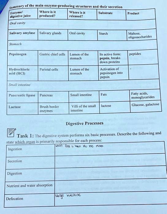 SOLVED Enzyme/digestive juice Oral cavity Where is it produced? Where