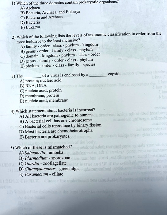 SOLVED I) Which of the three domains contain prokaryotic organisms? A