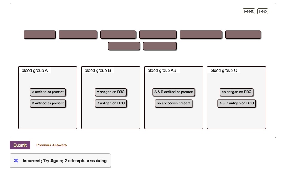 SOLVEDAeat Help blood group_ blood group B blood group AB blood group