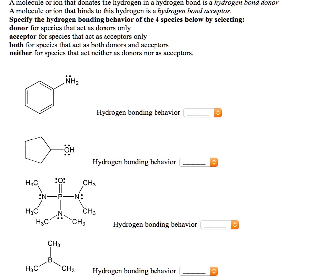 SOLVED: A molecule or ion that donates the hydrogen in hydrogen bond iS ...
