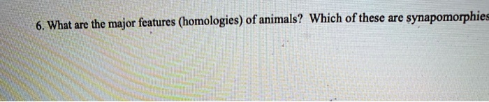 6. What are the major features (homologies) of animals? Which of these are synapomorphies