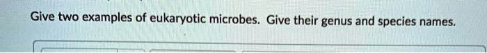 Give two examples of eukaryotic microbes. Give their genus and species names.