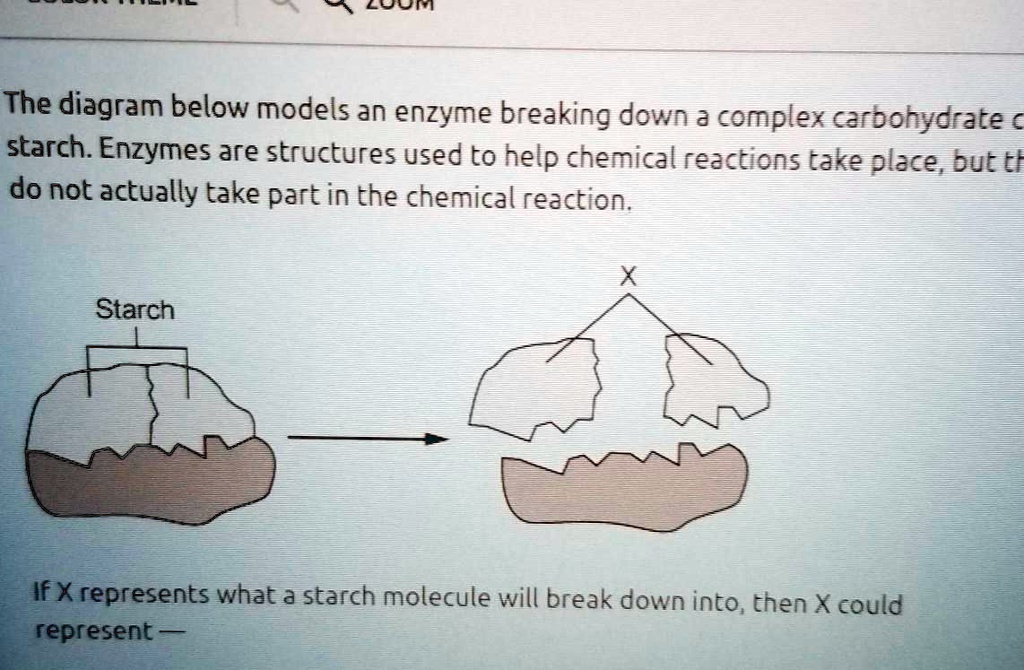 SOLVED a. lipids b. protein c. fatty acids d. simple sugars LoOM The diagram below models an