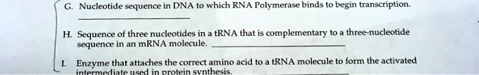 G. Nucleotide sequence in DNA to which RNA Polymerase binds to begin transcription.
H. Sequence of three nucleotides in a tRNA that is complementary to a three-nucleotide sequence in an mRNA molecule.
I. Enzyme that attaches the correct amino acid to a tRNA molecule to form the activated intermediate used in protein synthesis.