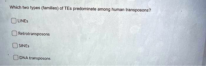 which two types families of tes predominate among human transposons ...