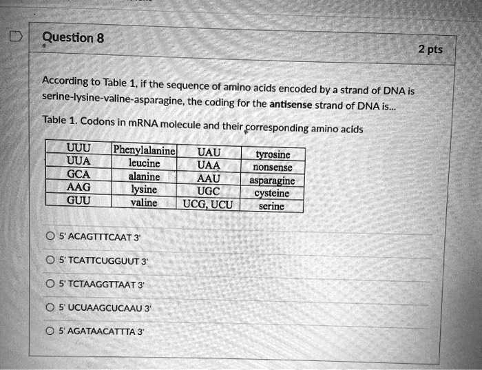 According to Table 1, if the sequence of amino acids encoded by a strand of DNA is serine-lysine-valine-asparagine, the coding for the antisense strand of DNA is...

Table 1. Codons in mRNA molecule and their corresponding amino acids

UUU Phenylalanine
UAU tyrosine
UUA leucine
UAA nonsense
GCA alanine
AAU asparagine
AAG lysine
UGC cysteine
GUU valine
UCG, UCU serine

5' ACAGTTTCAAT 3'
5' TCATTCUGGUUT 3'
5' TCTAAGGTTAAT 3'
5' UCUAAGCUCAAU 3'
5' AGATAACATTTA 3'