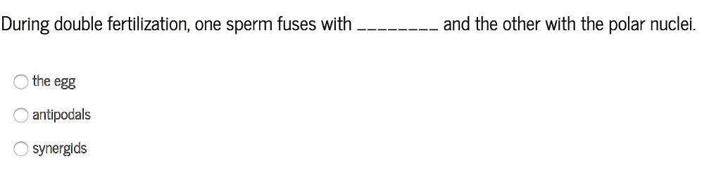 During double fertilization, one sperm fuses with  and the other with the polar nuclei.
the egg
antipodals
synergids