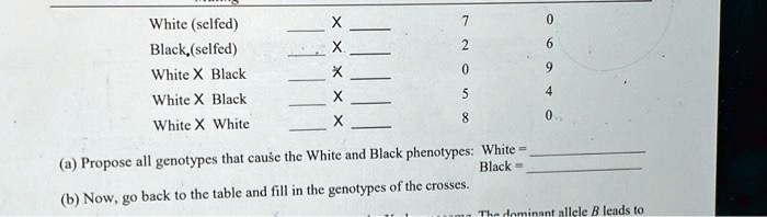 White (selfed)
X
7
0
Black,(selfed)
X
2
6
White X Black
X
0
9
White X Black
X
5
4
White X White
X
8
0
(a) Propose all genotypes that cause the White and Black phenotypes: White = 
Black =
(b) Now, go back to the table and fill in the genotypes of the crosses.