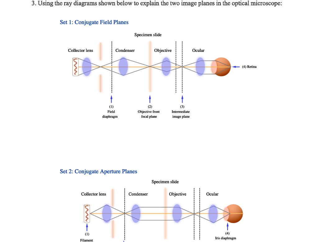 SOLVED Using the ray diagrams shown below to explain the two image