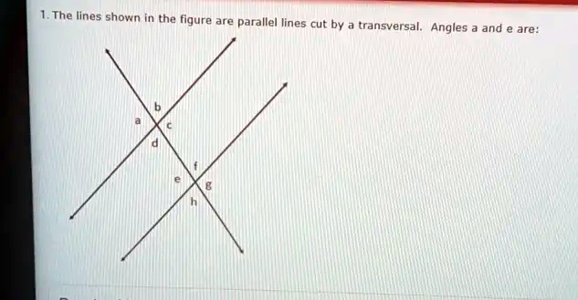 SOLVED: The lines shown in the figure are parallel lines cut by ...