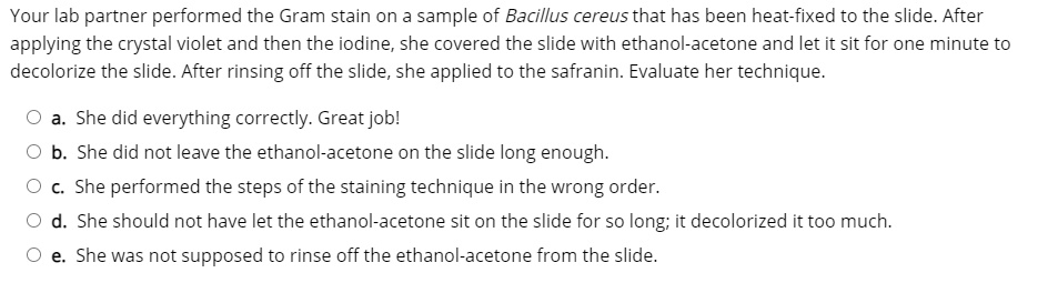 Your lab partner performed the Gram stain on a sample of Bacillus ...